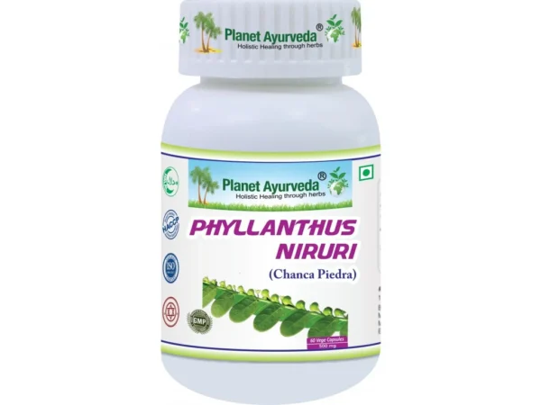 Phyllanthus niruri (Chanca piedra) podporuje činnosti pečene, obličiek a celej vylučovacej sústavy. Používa sa aj na zvýšenie celkovej obranyschopnosti organizmu. V ajurvéde sa považuje jednu z najsilnejších rastlín proti vírusom.
