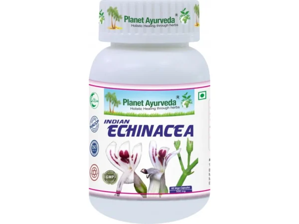 Indická echinacea (Andrographis paniculata) sa používa najmä v ázijských krajinách na liečbu rôznych infekcií, podporu imunitného systému ako aj na podpornú liečbu pri vírusových ochoreniach, pri akýchkoľvek ochoreniach pečene a obličiek ako aj pri horúčkach bez ohľadu na ich pôvod.