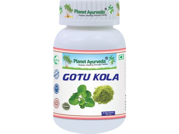 Gotu Kola podporuje cirkuláciu krvi, podporuje celú nervovú sústavu, zlepšuje kocentráciu. Bohatá na vitamíny A, B, E a K, obsahuje horčík.